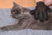 pembersih bulu kucing pembersih bulu kucing