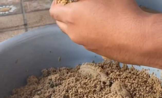 umpan pelet ikan mas